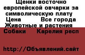 Щенки восточно европейской овчарки за символическую плату › Цена ­ 250 - Все города Животные и растения » Собаки   . Карелия респ.